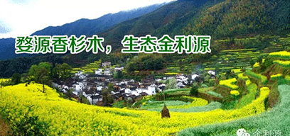 金利源板材/金品質 源生態.從源頭精挑細選，為品質保駕護航——中國板材十大品牌品質篇