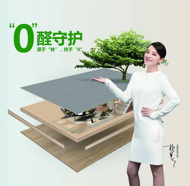 國(guó)慶黃金周家裝必備：金利源ENF級(jí)香杉實(shí)木生態(tài)板