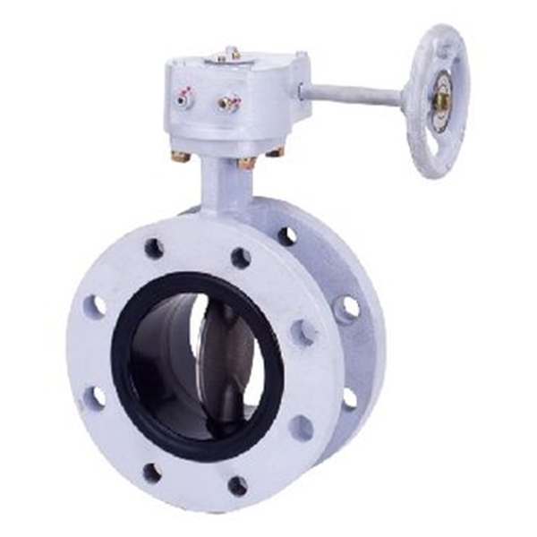 KITZ開滋閥門\齒輪傳動蝶閥FAS-10LJF-80A