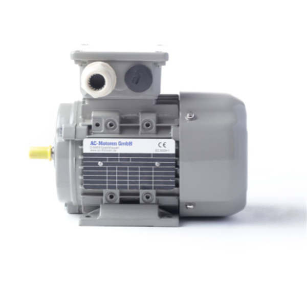 德國AC MOTOREN防火防爆電機E3-ASA 80 A 2