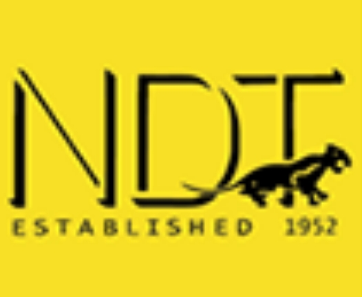 NDT ITALIANA 意大利